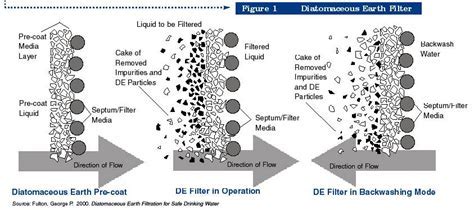  Diatomaceous Earth：A Sustainable Superhero for Filtration and Insulation?!